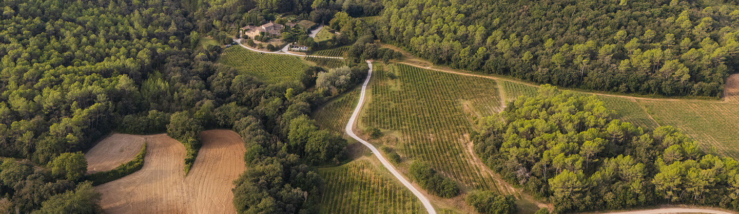 Les gavarres des de l'aire